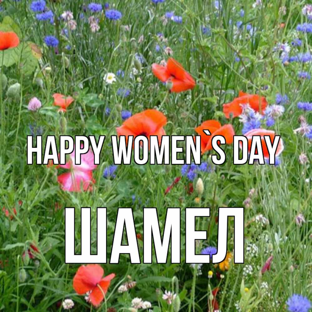 Greetings card с именем, ШАМЕЛ happy women`s day международный женский день 4 Greetings with text for free download 